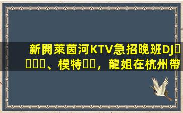 新開萊茵河KTV急招晚班DJ、模特，龍姐在杭州帶你上班